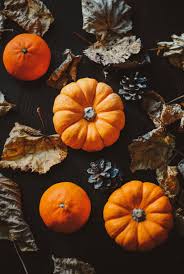 Halloween pumpkin patch fall background, outdoor backdrops for composites, photoshop backdrops, digital backdrop, photography background royalpropshop 5 out of 5 stars (40) $ 9.80. Pumpkins Autumn Wallpapers Wallpaper Cave