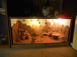 Bearded Dragon Habitat Bearded Dragon Pair Custom Viv 4x4x2 Dscn0439 Jpg Baby Bearded Dragon Bearded Dragon Habitat Bearded Dragon Care