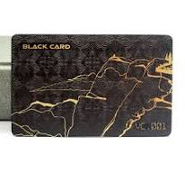 Customized Printing Plastic PVC VIP Membership Loyalty Card with Nice Price