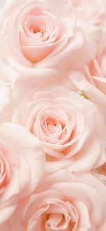 Check spelling or type a new query. Pastel Pink Flower Iphone Wallpapers Top Free Pastel Pink Flower Iphone Backgrounds Wallpaperaccess
