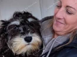 Miniature Schnauzers Puppies and Dogs for sale in St Andrews