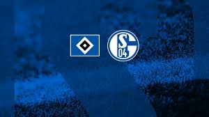 Ebay fanschals fussball fußballverein schalke hsv. Auf Youtube Schalke Tv Zeigt Testspiel Beim Hamburger Sv Fussball Schalke 04
