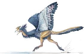 Artstation Hackbill Colorful Bird And Dinosaur Hybrid Anna Khudorenko For Terryl Whitlatch Course On Crea Creature Drawings Terryl Whitlatch Weird Creatures