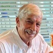 Charles Ingizio Polizzi Obituary (2025)