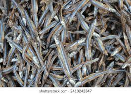 Ikan Teri Photos and Images & Pictures