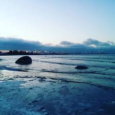 We did not find results for: Radoslava On Instagram Tallinn Beach Tallinn Tallinnbeach Visittallinn Beatifultallinn Beatifulestonia