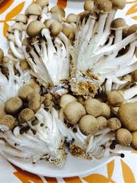 Properly stored, they will maintain best quality for 10 to 12 months, but will remain safe beyond that time. Blast Freezer And Mushrooms Flash Freeze