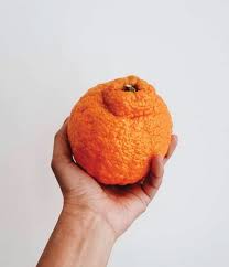 They are best straight out of the fridge, where the cold somehow makes the fruit juicier. About Sumo Citrus
