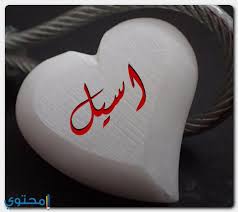 معنى اسم اسيل وصفاتها وحكم التسمية Aseel موقع محتوى