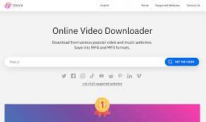 An internet connection (internet service provider fees may apply). Online Video Downloader Ddlvid