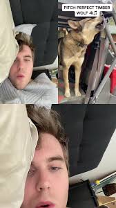 #duet with @dashiellgregory #Duet