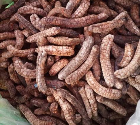 Chuối hột rừng Kon Tum, loại dược liệu thần kỳ của vùng núi cao