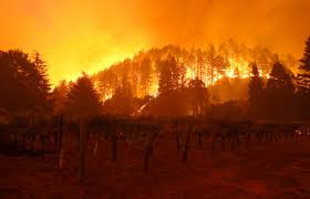 Check spelling or type a new query. California Fire Map Update As Glass Fire Burns Through Napa Valley Zogg Fire Sparks Evacuations