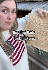 Dollar Tree Nesting Pad Chickens