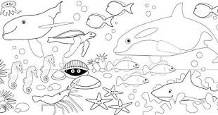 .pemandangan bawah laut klik salah satu judul yang cocok, kemudian untuk link download tutorial menggambar dan mewarnai pemandangan bawah laut ada di halaman berikutnya. Gambar Mewarna Pemandangan Di Dasar Laut Gambar Wallpaper Foto