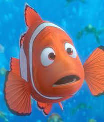 They each have three white stripes outlined in black and look like carbon copies of each other. Finding Nemo Marlin 2003 Finding Nemo Nemo Marlin