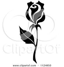 Black And White Graphics Free Clip Art Royalty Free Vector Illustration By Seamartini Graphics 1124850 Free Vector Illustration Vector Free White Rose Flower