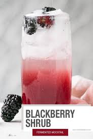 Delicious Blackberry Shrub Recipe Fermented Drinking Vinegar Fermentation Shrub Mocktailrecipe C Shrub Recipe Delicious Drink Recipes Hot Drinks Recipes