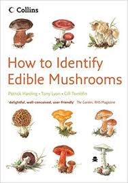 How To Identify Edible Mushrooms Amazon Co Uk Patrick