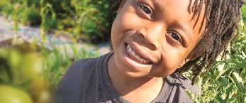 Getting to the root of health