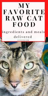 .foods tested were raw foods, raw diets for cats are also very popular, and there are several raw food companies on the market that offer home delivery. Best Raw Cat Food Delivery Service Companies 2021 Caticles Raw Cat Food Recipes Healthy Cat Food Cat Food