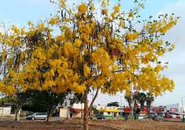 Very powerful and amazing books soo much to take away from these. Lluvia De Oro Embajadora De Egipto En Sinaloa Tus Buenas Noticias