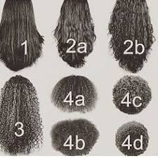 57 Best Hair Type Chart Images Hair Type Chart Hair Type