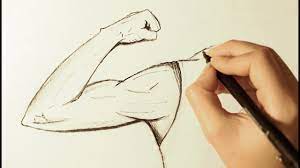 How to draw arms biceps assignment example. How To Draw A Flexed Biceps Muscle Youtube