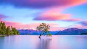 Relaxing Music For Stress Relief Soothing Music For Meditation Healing Therapy Sleep Spa Youtube