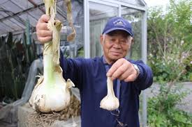 お で この 真ん中 に ほくろ が ある 人