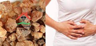 فوائد عشبة المرة العلاجية وكيفية استعمالها موسوعة دار الطب