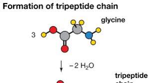 Why Cysteine Is Special?