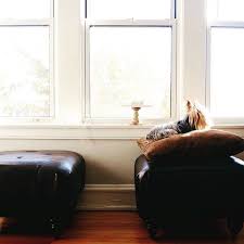 Que Hemos Ganado Una Hora Celebran Casi Todos Por Aqui Pero Yo Siento Como Si Hubiera Perdido Tres Horas Porque La Luz With Images Home Decor Decor Storage Bench