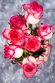 Pink rose flower bouquet isolated on white background cutout. Red White Rose Flower Bouquet On Stone Table Stock Photo Picture And Royalty Free Image Image 96482241