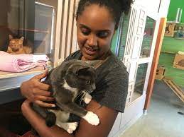 Jun 03, 2021 · police are asking for the public's help in identifying the shooters. Dc S Humane Rescue Alliance Urges People To Adopt After Florence Wtop