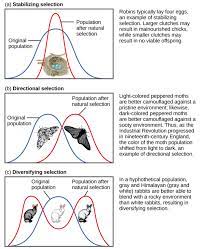 Evolution by natural selection is the process by which traits that enhance survival and reproduction become more common in successive generations of a population. Adaptive Evolution Boundless Biology