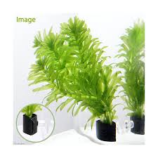Lohaco 水草 メダカ 金魚藻 国産 無農薬アナカリス ｗｉｔｈ 植えるカム 無農薬 １個 北海道航空便要保温 金魚藻 チャーム