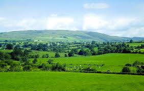 7 5million Allocated For Re Opening Of Tier 1 Of Fbis Capital Department Of Agriculture Environment And Rural Affairs