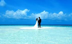 Dreamy Maldives Wedding On The Sandbank Maldives Wedding Dream Beach Wedding Maldives Honeymoon Package