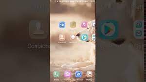 Familiaris) occurring as a wide variety of breeds, many of which are traditionally used for hunting, herding, drawing sleds, and other tasks, and are kept as pets. How To Turn Off Gionee F103 Guest Mode Youtube