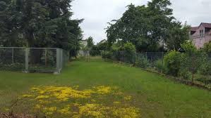 Hecken werden in gärten oftmals eingebracht, um die privatsphäre zu schaffen und zu schützen zudem vor dem. Kleingarten Kaufen Kleingarten Gebraucht Dhd24 Com