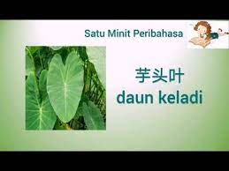 Contextual translation of bagai mencurah air di daun keladi into english. Bagai Mencurah Air Ke Daun Keladi Cikgu Beh Youtube