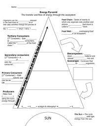 Ecological Pyramid Worksheet Energy Pyramid Worksheets