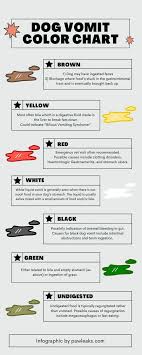 We did not find results for: Dog Vomiting Color Guide Everything You Need To Know Pawleaks