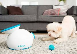 The ifetch from the hamill family shoots out a ball for your dog to fetch, and when fido ifetch has an adjustable range for shooting its mini tennis balls. Ifetch Original Ballwurfautomat Ballwerfer Elektro Halsbander De