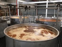 Această cultură este activ произрастала pe mexican plantații. Am Fost In Mexic SÄƒ VÄƒd Cum È™i Din Ce Se Face Tequila Cristian Florea