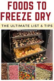 Stocking up on foods when they're on sale and freez. Foods You Can Put In Your Freeze Dryer The Ultimate List Tips Or So She Says
