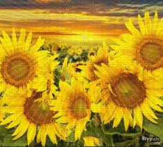 Tapi sebelum itu, coba lihat gambar bunga dan. Paysage Soleil Champ Summer Village Village Tournesols Gif Animation Orabel Paysage Soleil Champ Summer Village Tournesols Gif Animation Orabel Picmix