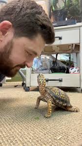 OTIS does NOT Back Down. 😳