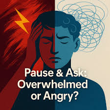 Finding purpose and calm in a busy life